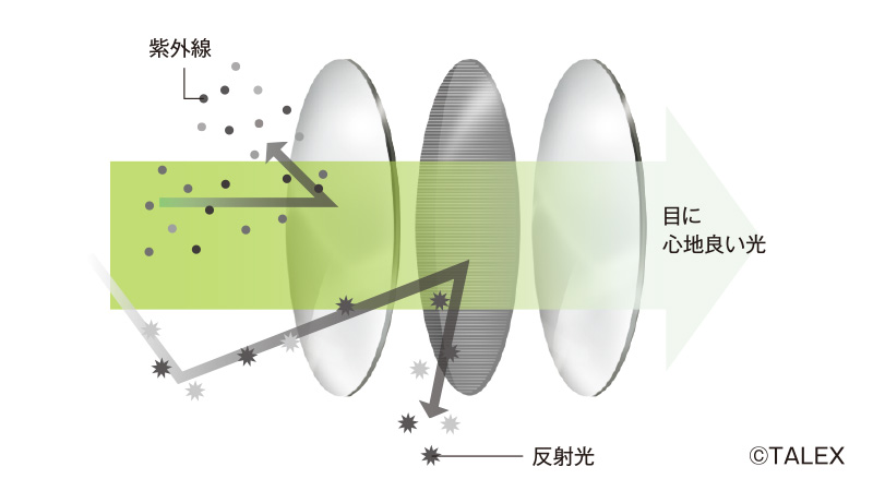 偏光レンズの構造
